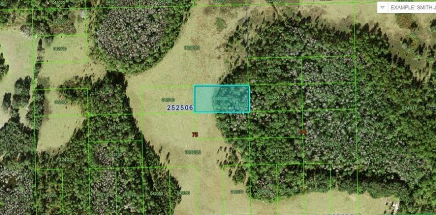 Terrain à Polk City, Floride № 2235098