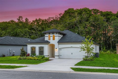 House in New Port Richey, Florida 4 bedrooms, 191.01 sq.m. № 2136291