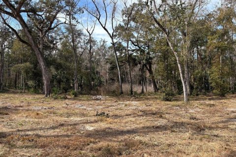 Terrain à vendre à Brooksville, Floride № 2383526 - photo 4