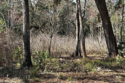 Terrain à vendre à Brooksville, Floride № 2383526 - photo 3