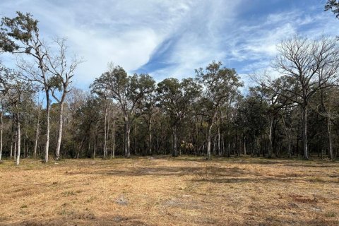 Terrain à Brooksville, Floride № 2383526