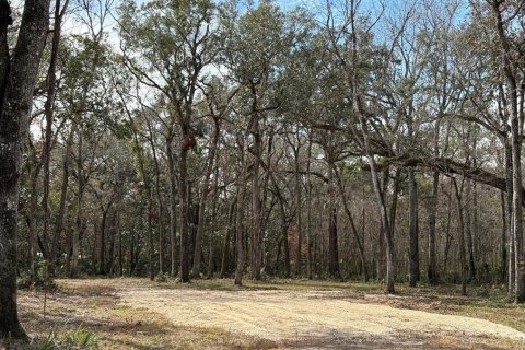 Terrain à vendre à Brooksville, Floride № 2383526 - photo 6