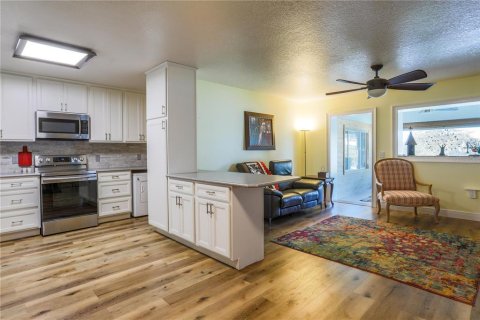 Commercial property in Umatilla, Florida 4 bedrooms, 200.67 sq.m. № 2205843 - photo 9