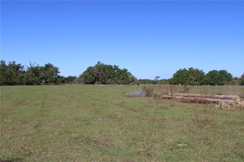 Land in Plant City, Florida № 1651275 - photo 14