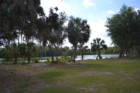Land in Plant City, Florida № 1651275 - photo 2