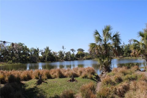 Land in Plant City, Florida № 1651275 - photo 15