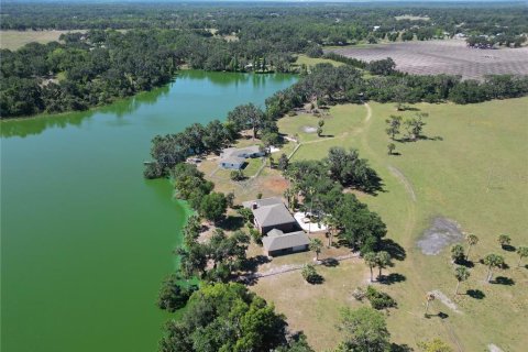 Land in Plant City, Florida № 1651275 - photo 19
