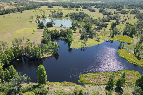 Land in Plant City, Florida № 1651275 - photo 22