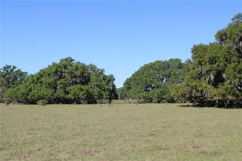 Land in Plant City, Florida № 1651275 - photo 7