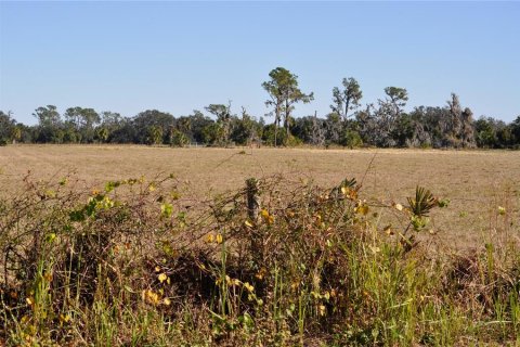 Land in Plant City, Florida № 1651275 - photo 10