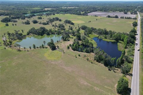 Land in Plant City, Florida № 1651275 - photo 21
