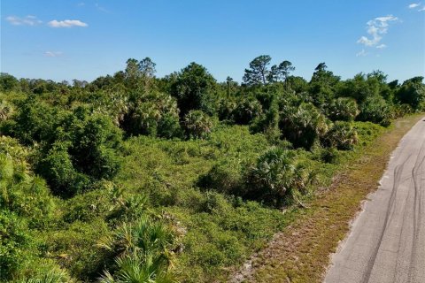 Land in North Port, Florida № 2221220 - photo 24
