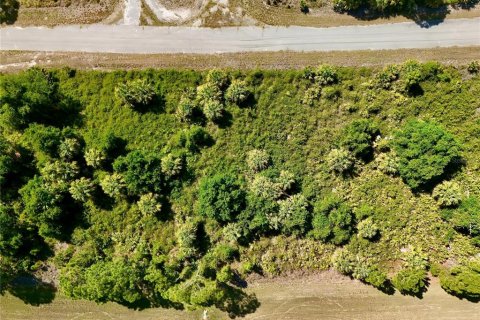 Land in North Port, Florida № 2221220 - photo 4