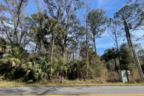 Land in Homosassa, Florida № 1025346 - photo 1