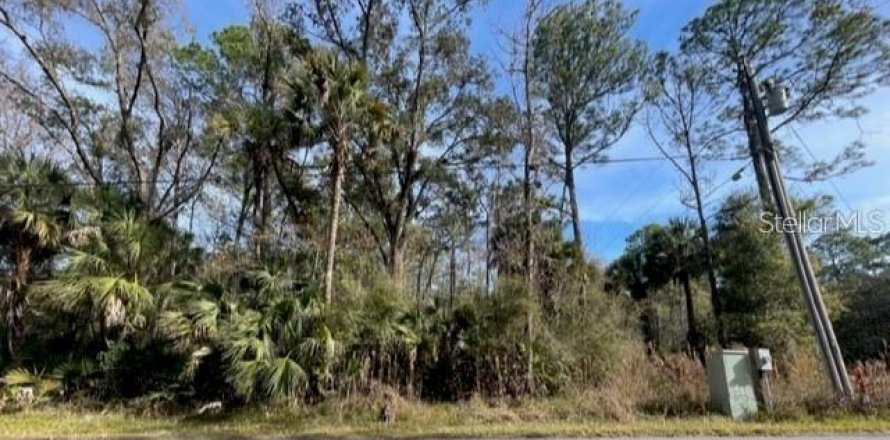 Land in Homosassa, Florida № 1025346
