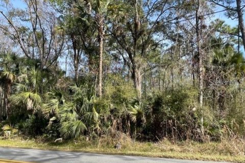 Land in Homosassa, Florida № 1025346 - photo 3