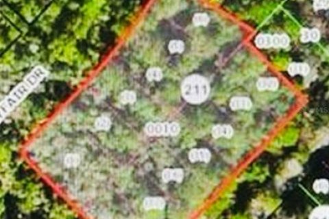 Land in Homosassa, Florida № 1025346 - photo 2