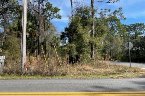 Land in Homosassa, Florida № 1025346 - photo 4