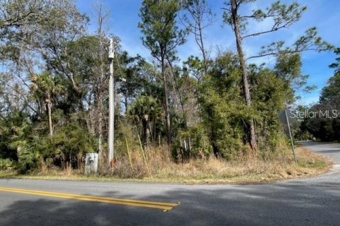 Land in Homosassa, Florida № 1025346 - photo 5