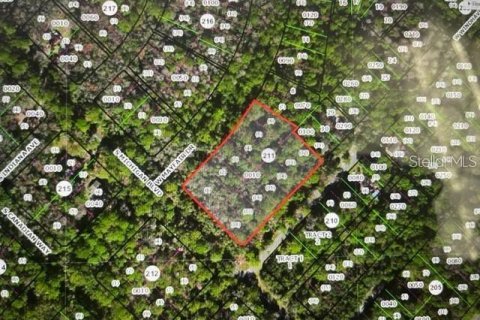 Land in Homosassa, Florida № 1025346 - photo 6