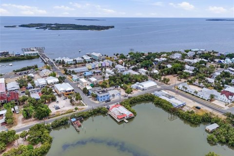 Commercial property in Cedar Key, Florida 216.46 sq.m. № 2213774 - photo 5