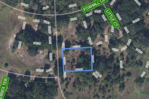 Land in Sebring, Florida № 2162983 - photo 2