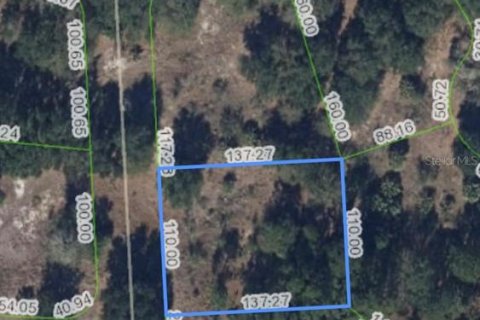 Land in Sebring, Florida № 2162983