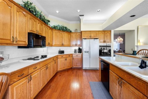 Villa ou maison à vendre à Yalaha, Floride: 3 chambres, 249.16 m2 № 1650207 - photo 7