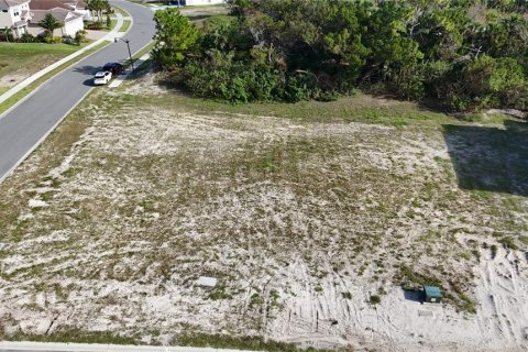 Land in Palm Coast, Florida № 1427744 - photo 11