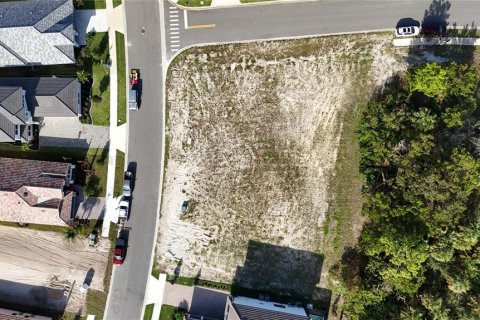 Land in Palm Coast, Florida № 1427744 - photo 10
