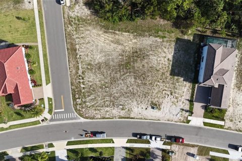 Land in Palm Coast, Florida № 1427744 - photo 9