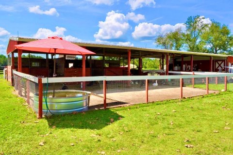 Immobilier commercial à vendre à Ocala, Floride № 2024947 - photo 4