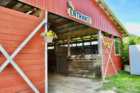 Immobilier commercial à vendre à Ocala, Floride № 2024947 - photo 8