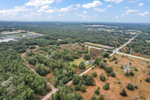 Land in Eustis, Florida № 1525135 - photo 6