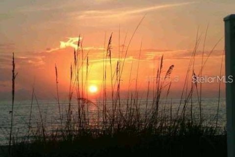 Appartement à louer à Madeira Beach, Floride: 1 chambre, 46.45 m2 № 1901601 - photo 11
