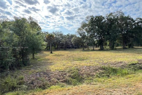 Land in Clewiston, Florida № 1874585 - photo 8