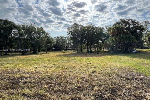 Land in Clewiston, Florida № 1874585 - photo 7