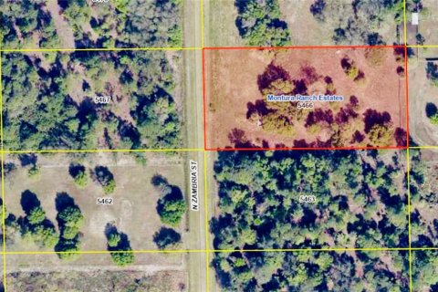 Land in Clewiston, Florida № 1874585 - photo 5