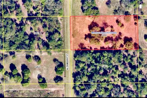 Land in Clewiston, Florida № 1874585 - photo 4