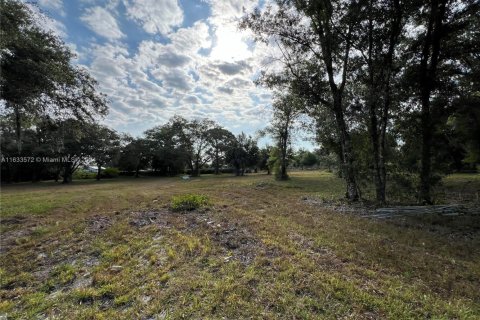 Land in Clewiston, Florida № 1874585 - photo 10