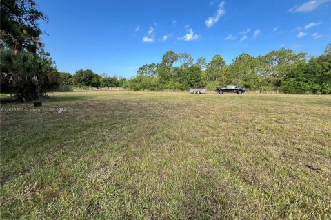 Land in Clewiston, Florida № 1874585 - photo 11