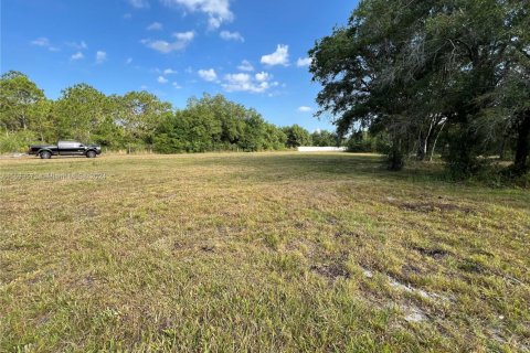 Land in Clewiston, Florida № 1874585 - photo 6