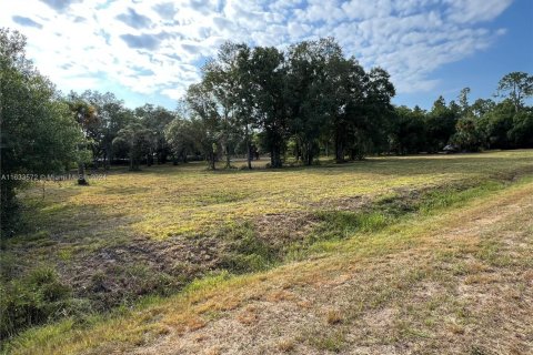 Land in Clewiston, Florida № 1874585 - photo 1