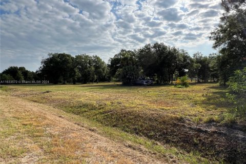 Land in Clewiston, Florida № 1874585 - photo 2