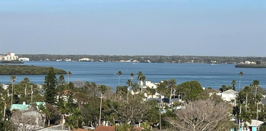 Condominio en Clearwater, Florida, 1 dormitorio  № 1581864