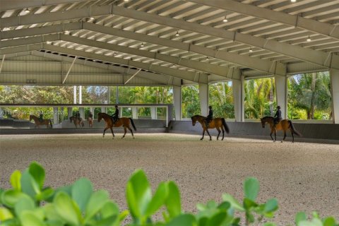 Immobilier commercial à vendre à Davie, Floride № 2044051 - photo 6