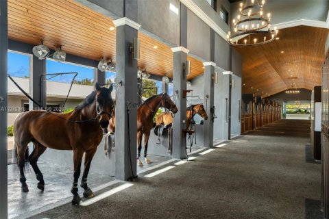 Immobilier commercial à vendre à Davie, Floride № 2044051 - photo 13