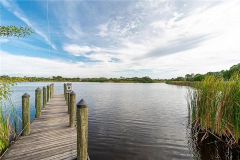 Land in Port Charlotte, Florida № 2160161 - photo 12