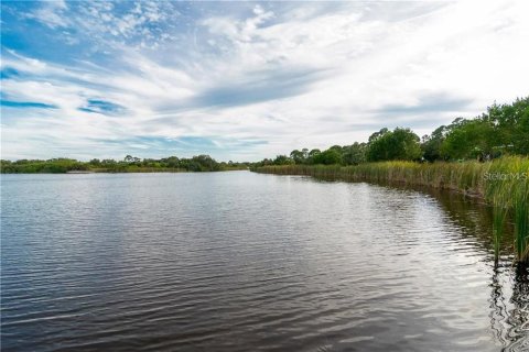 Land in Port Charlotte, Florida № 2160161 - photo 11