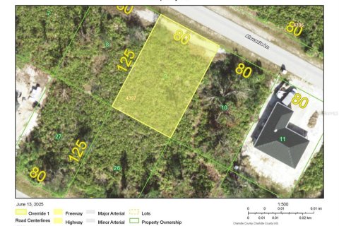 Land in Port Charlotte, Florida № 2160161 - photo 2